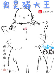 言情小说:我是猫大王 言情小说:我是猫大王