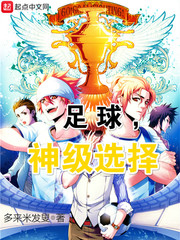 ��ʷС˵:������ѡ��