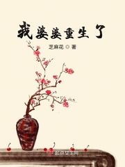 ����С˵:������������