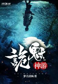 ����С˵:��������