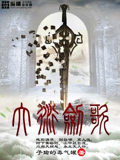 ����С˵:���ܽ���