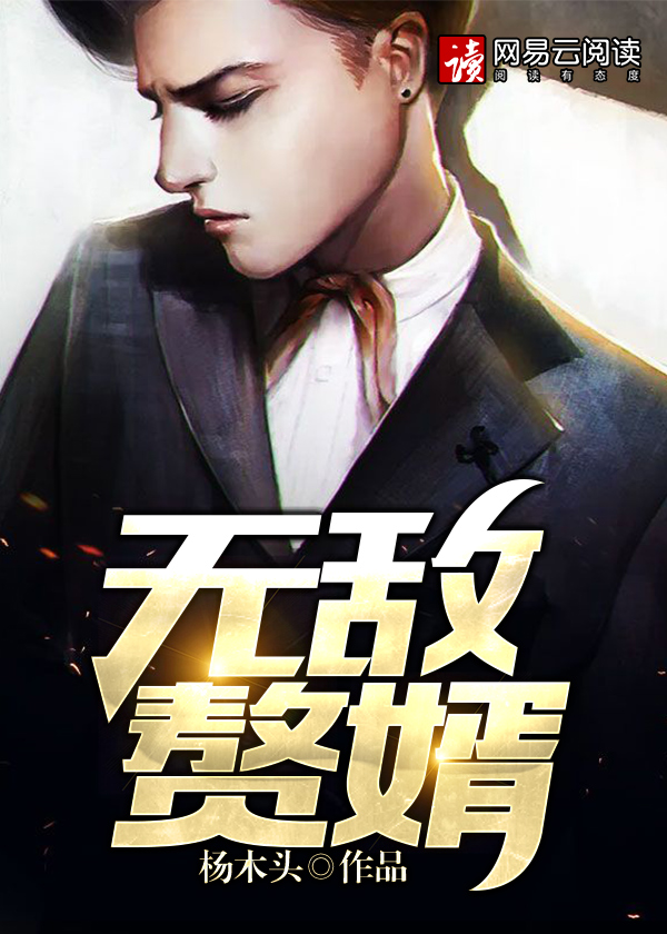 ����С˵:�޵�׸��