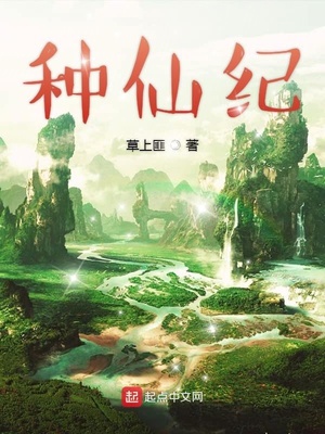 ����С˵:���ɼ�