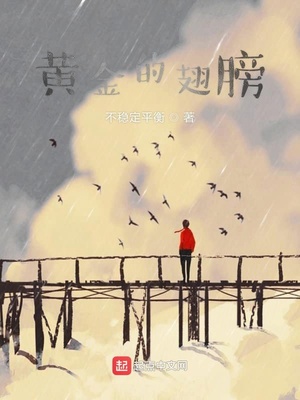 ����С˵:�ƽ�ĳ��