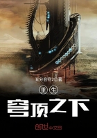 ����С˵:����񷶥֮��