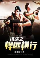 ��ʷС˵:��ս֮���˺���