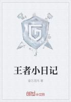 网游小说:王者小日记 网游小说:王者小日记