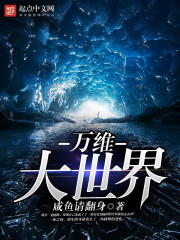 ����С˵:��ά������