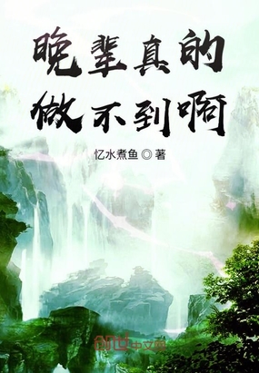 ����С˵:���������������