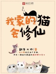 言情小说:我家的猫会修仙 言情小说:我家的猫会修仙