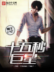 ����С˵:ʮ�������