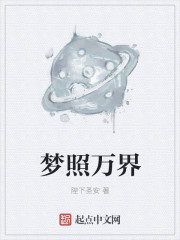 ����С˵:�������