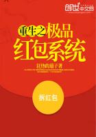 ����С˵:����֮��Ʒ���ϵͳ