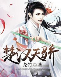 ��ʷС˵:�����콾