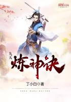 ����С˵:���������