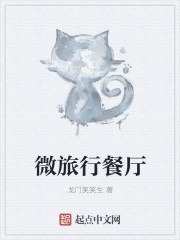 ����С˵:΢���в���