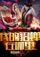 ����С˵:������ҫ֮�ҵ�����������