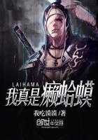 言情小说:我真是癞蛤蟆 言情小说:我真是癞蛤蟆