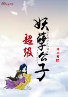 ��ʷС˵:������������