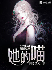 ����С˵:����������