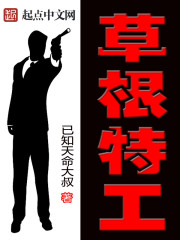 历史小说:草根特工 历史小说:草根特工