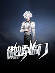 ����С˵:��������