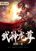 ����С˵:��������