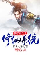 ����С˵:��������֮����ϵͳ