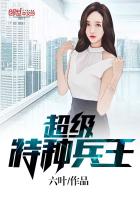 ��ʷС˵:�������ֱ���