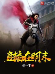 历史小说:直播在明末 历史小说:直播在明末