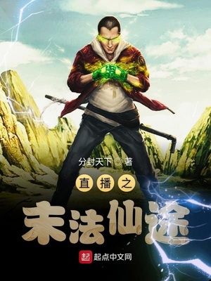 ����С˵:ֱ��֮ĩ����;