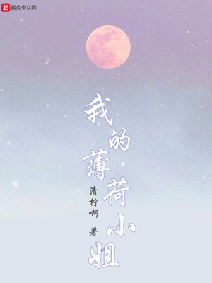 ����С˵:�ҵı���С��