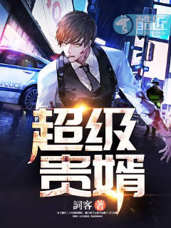 ����С˵:��������