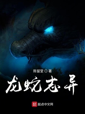 ����С˵:����־��