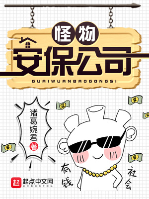 ����С˵:���ﰲ����˾