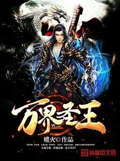 ����С˵:���ʥ��