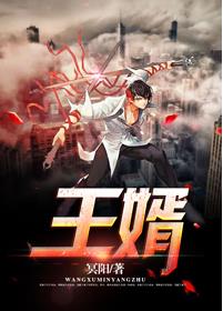 玄幻小说:王婿 玄幻小说:王婿