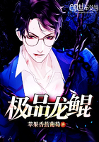 ����С˵:��Ʒ����