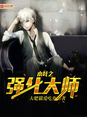 ��ʷС˵:ľҶ֮ǿ����ʦ