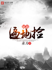 武侠小说:秘籍遍地捡 武侠小说:秘籍遍地捡