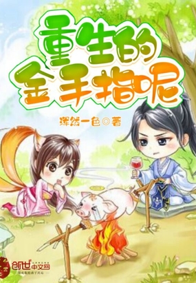 ����С˵:�����Ľ���ָ��