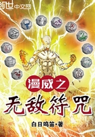 ����С˵:����֮�޵з���