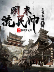 历史小说:明末流民帅 历史小说:明末流民帅