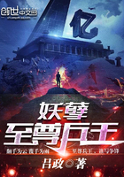 ����С˵:�����������