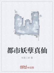 ����С˵:������������