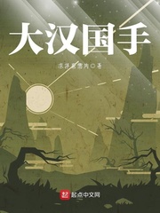 ��ʷС˵:�󺺹���