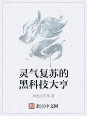 ����С˵:�������յĺڿƼ����