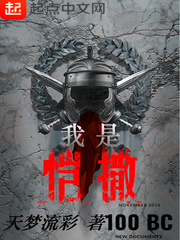 ��ʷС˵:��������