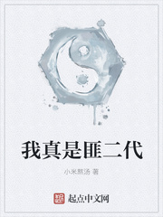 ����С˵:�����Ƿ˶���