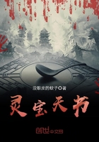 ����С˵:�鱦����